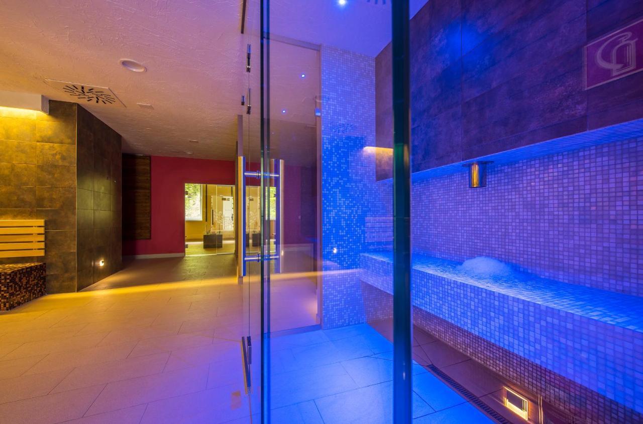 Wellness Penzion Smerdzonka - Kupele Pieniny Červený Kláštor Zewnętrze zdjęcie